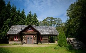 Gata Negra